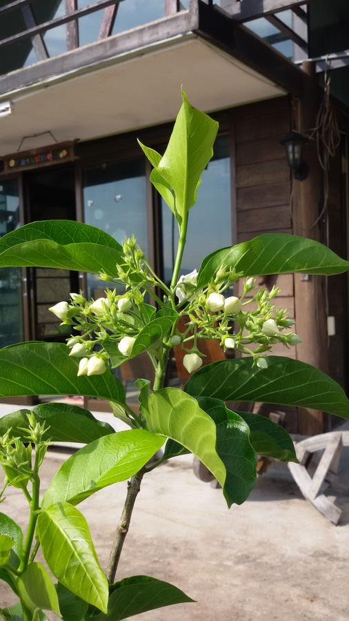 Baan Vallada Hotel Nakhonratchasima Zewnętrze zdjęcie